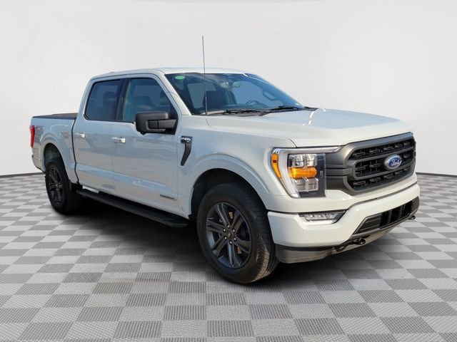 Certified Used 2023 Avalanche Ford XLT image 7