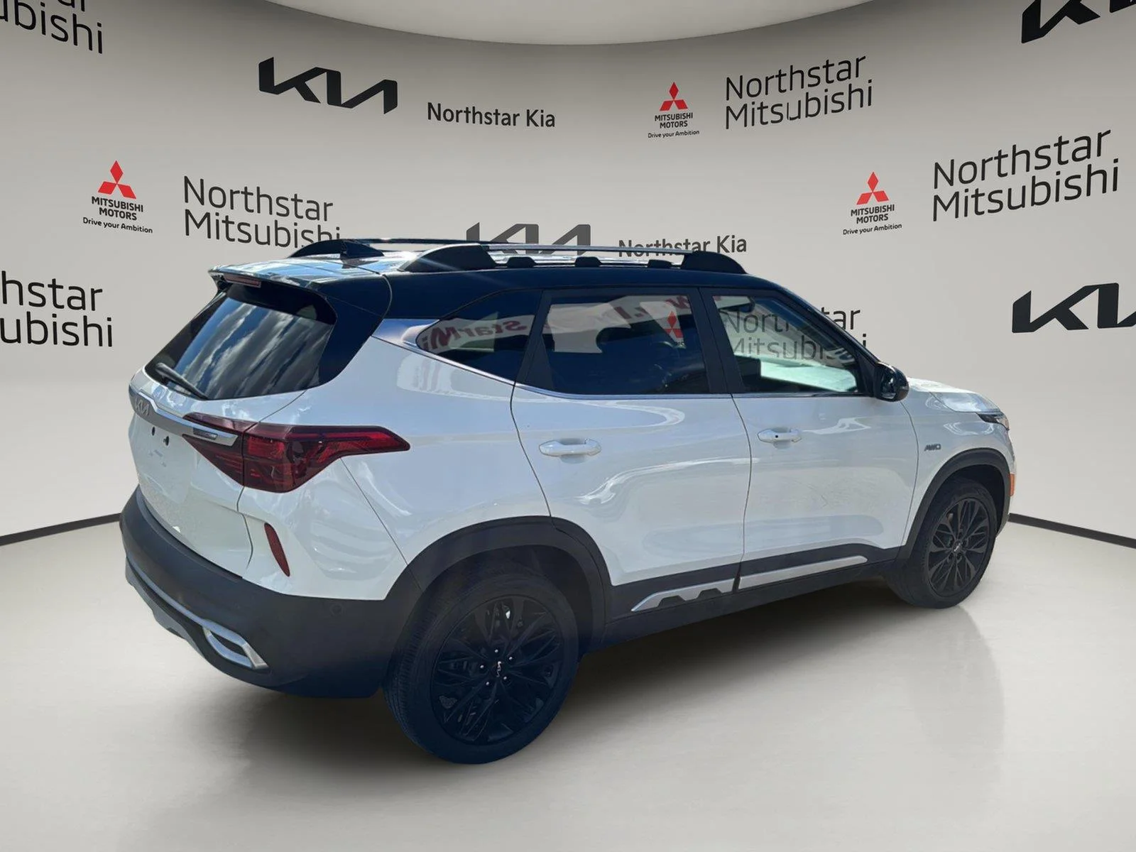 Used 2022 Clear White/Black Roof Kia Nightfall image 10
