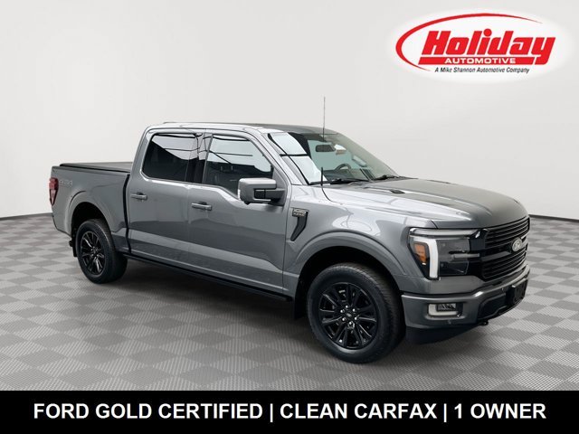 Used 2024 Carbonized Gray Metallic Ford Platinum image 1