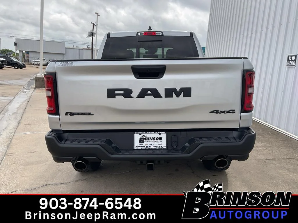 New 2026 Silver Zynith Exterior Paint RAM Rebel image 4