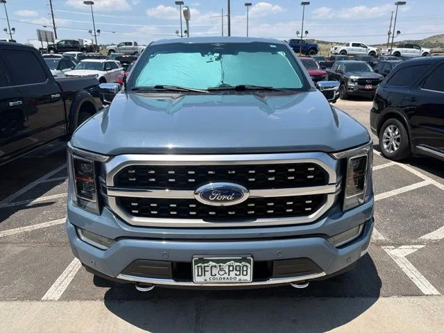 Used 2023 Gray Ford Platinum image 2