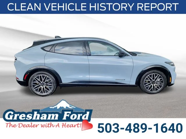 Used 2024 Gray Metallic Ford Premium image 7