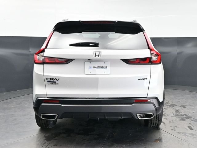 New 2026 Platinum White Pearl Honda Sport image 6
