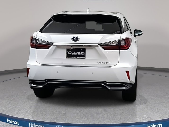 2019 Lexus RX 450h photo 4