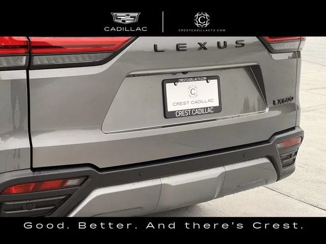Used 2025 Gray Lexus Luxury image 5