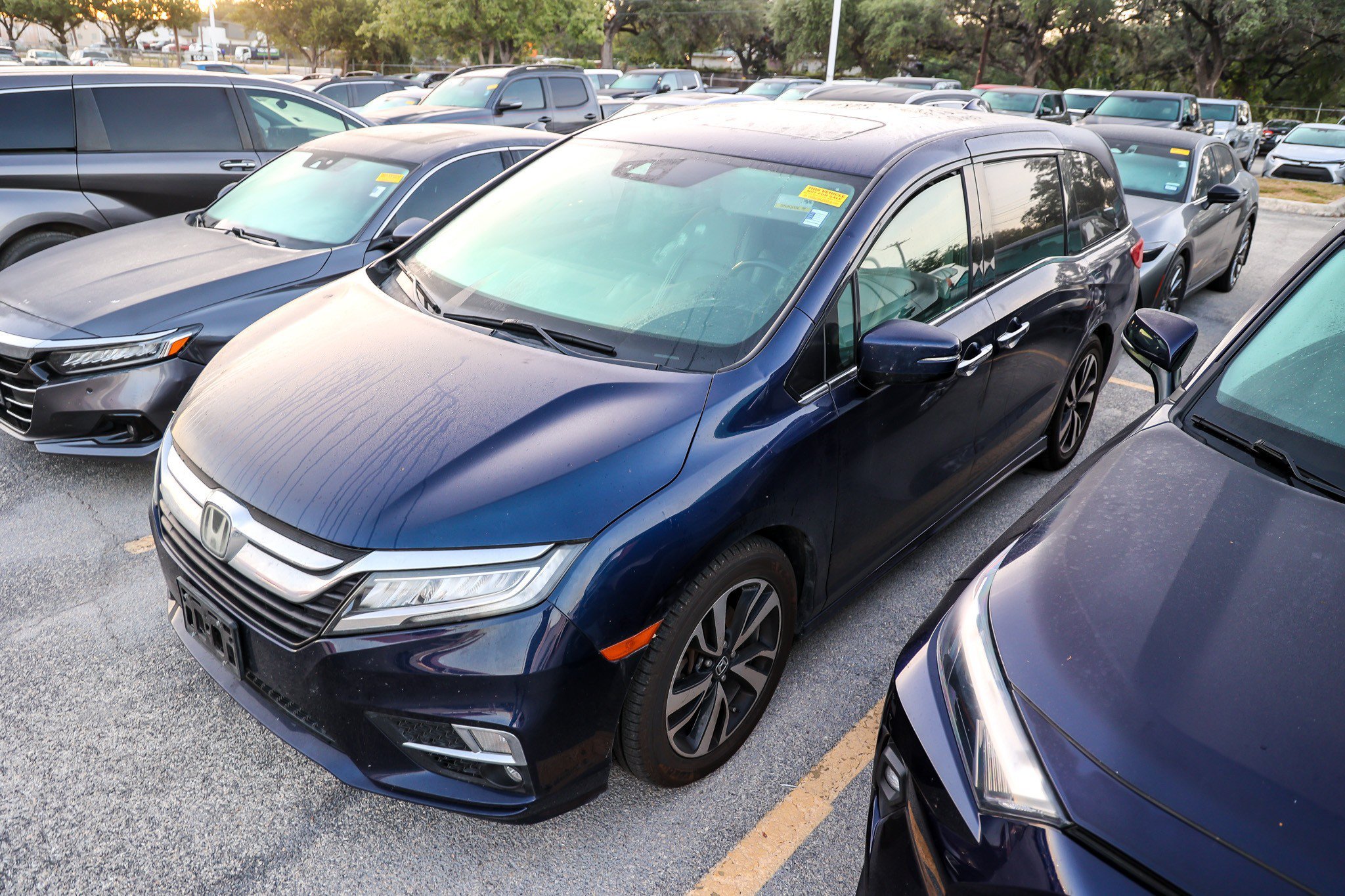 Used 2018 Blue Honda Elite image 2
