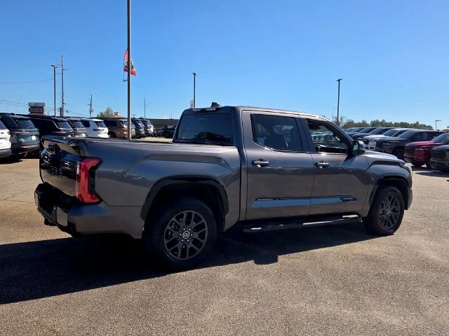 Used 2022 Gray Toyota Platinum image 13