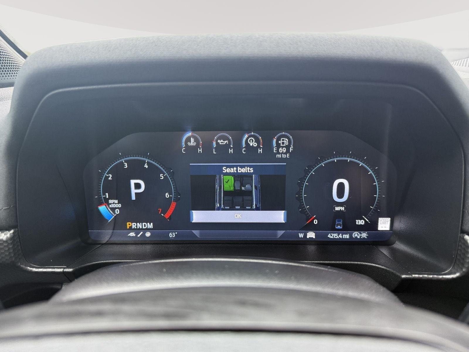 Certified Used 2024 Cactus Gray Ford Raptor image 18