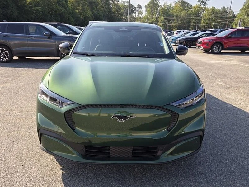 New 2026 Eruption Green Metallic Ford Select image 2