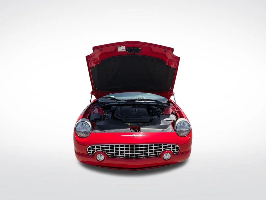 Used 2002 Torch Red Ford Base image 11