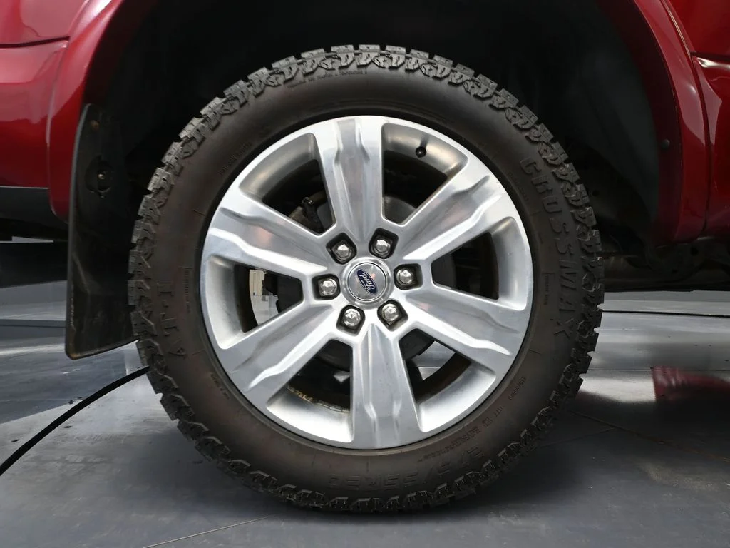 Used 2019 Red Ford Platinum image 15