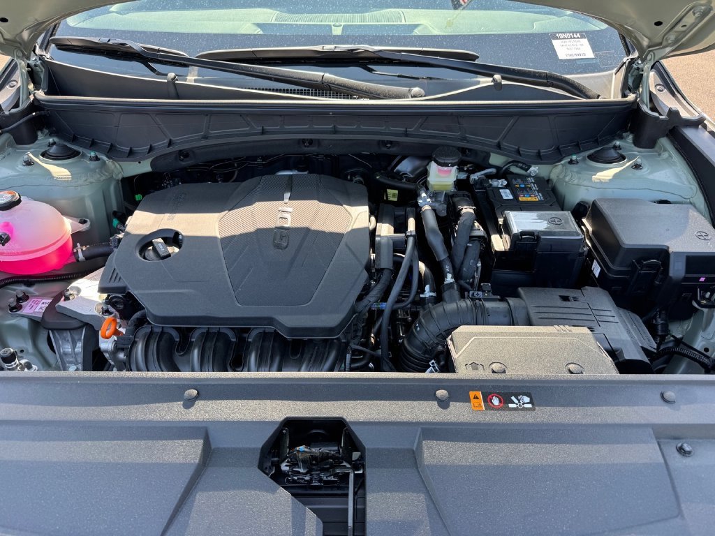 Used 2026 Green Hyundai SEL image 18