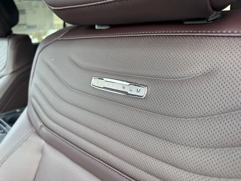 New 2026 Silver Ford Platinum image 22