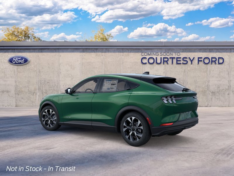 New 2026 Eruption Green Metallic Ford Select image 4