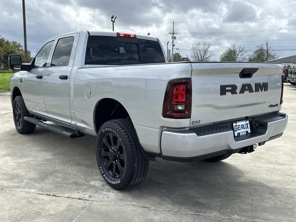 New 2026 Silver-Zynith Exterior Paint RAM Tradesman image 10