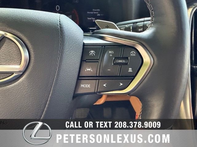 Used 2025 Black Lexus LUXURY image 33