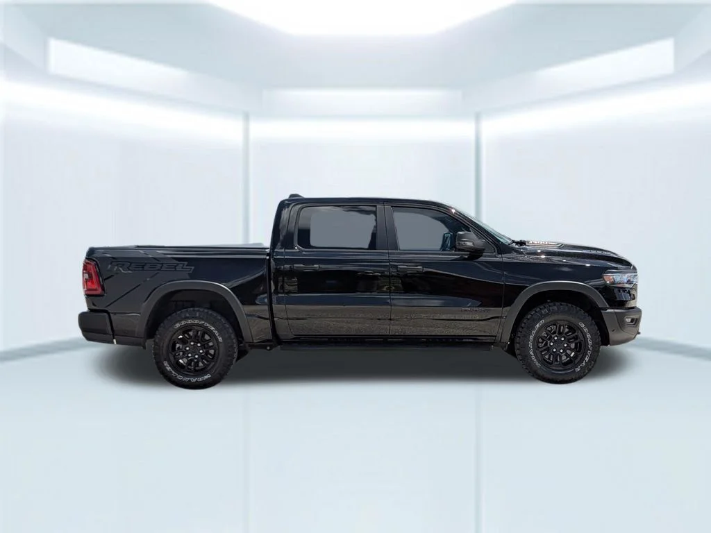 Used 2025 Black Ram Rebel image 7