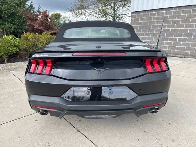 New 2025 Shadow Black Ford EcoBoost Premium image 7