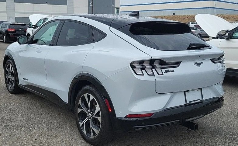 Used 2023 White Ford Premium image 2