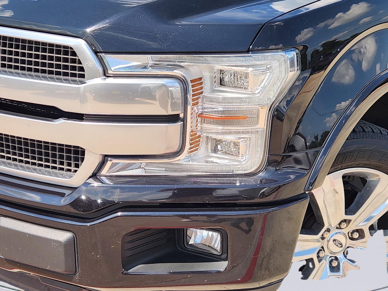 2019 Ford F-150 Platinum Black at Turner Chevrolet
