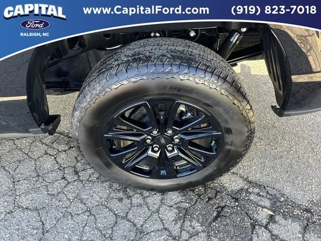Used 2025 Black Ford Platinum image 13