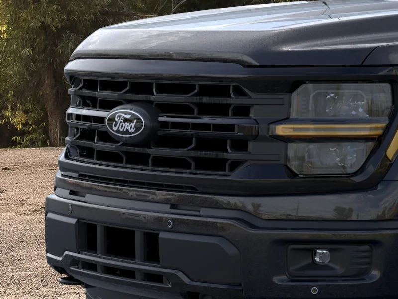 New 2025 Agate Black Metallic Ford XLT image 40