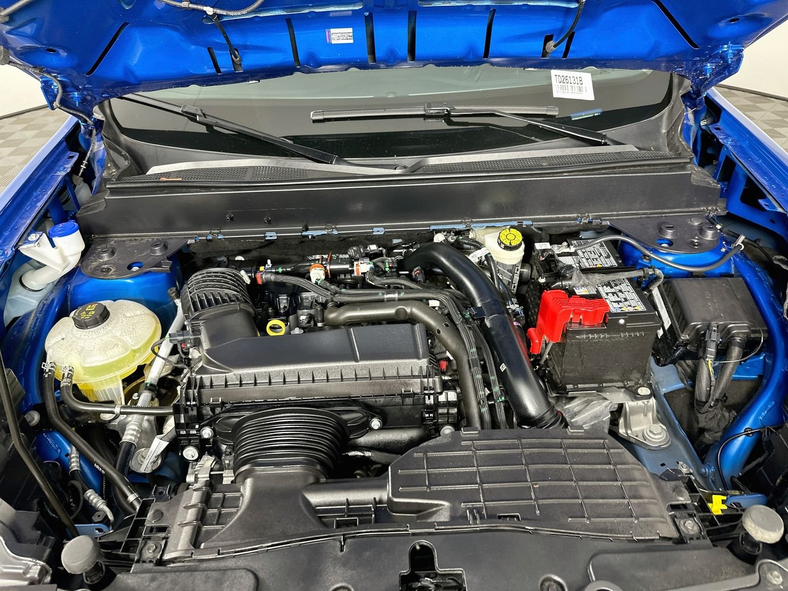 Used 2025 Velocity Blue Ford XLT image 28
