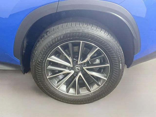 Used 2025 Grecian Water Lexus 250 Premium image 25