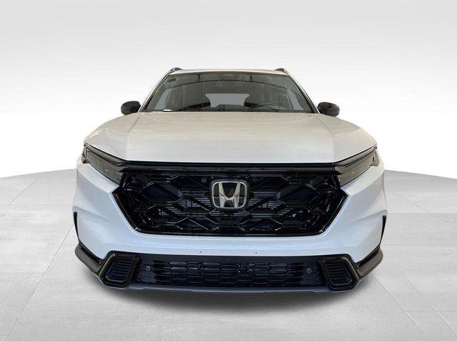 New 2026 Platinum White Pearl Honda Sport-L image 11