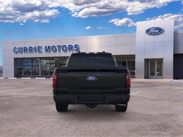 New 2026 Agate Black Metallic Ford LIFTED image 27