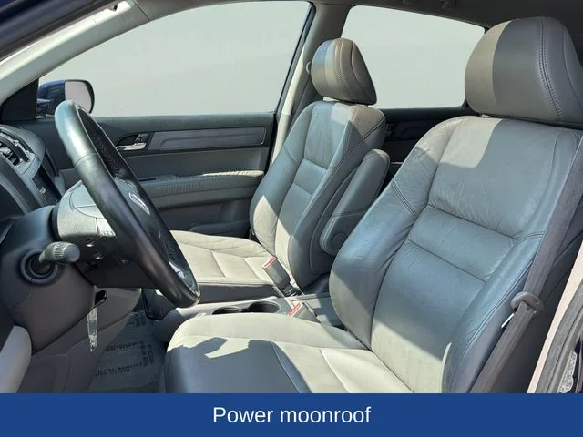 Used 2009 Blue Honda EX-L image 15