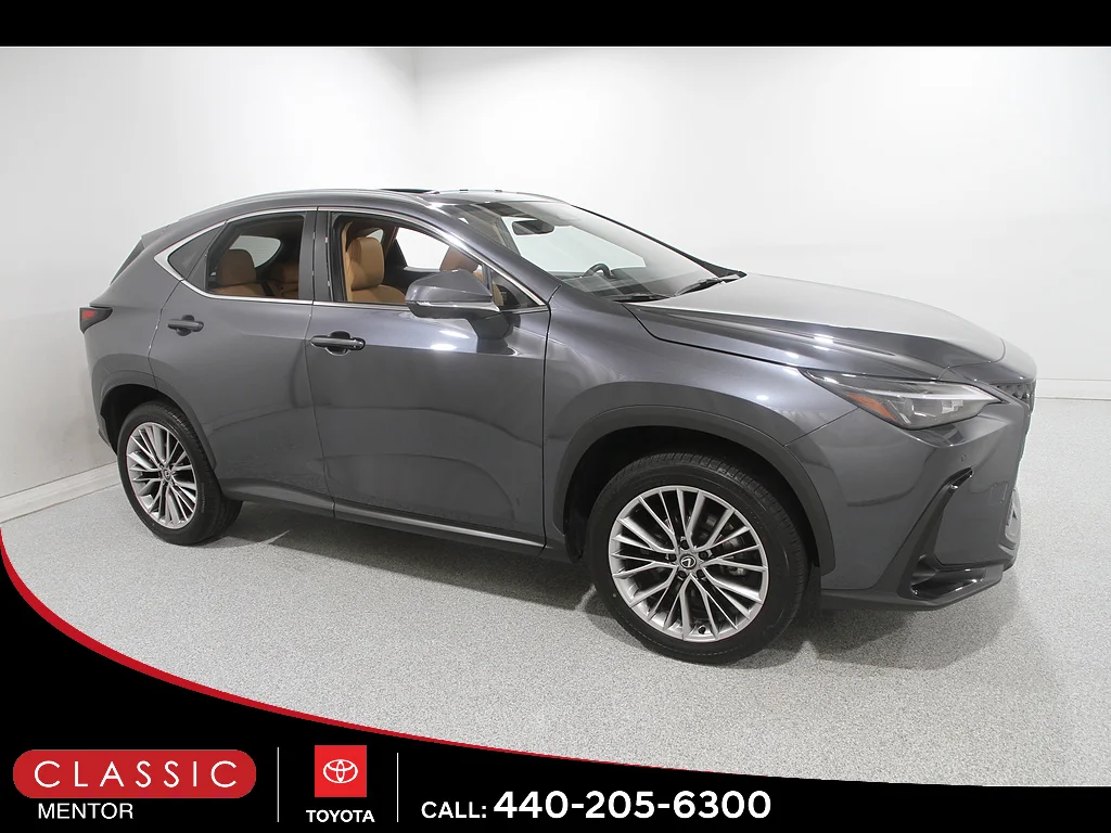 Used 2025 Cloudburst Gray Lexus Premium image 1