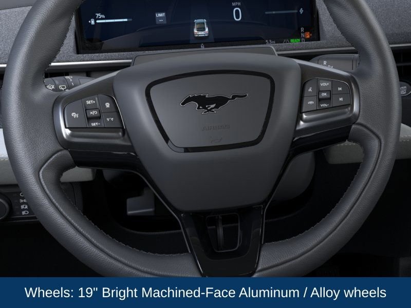 New 2026 Shadow Black Ford Premium image 16