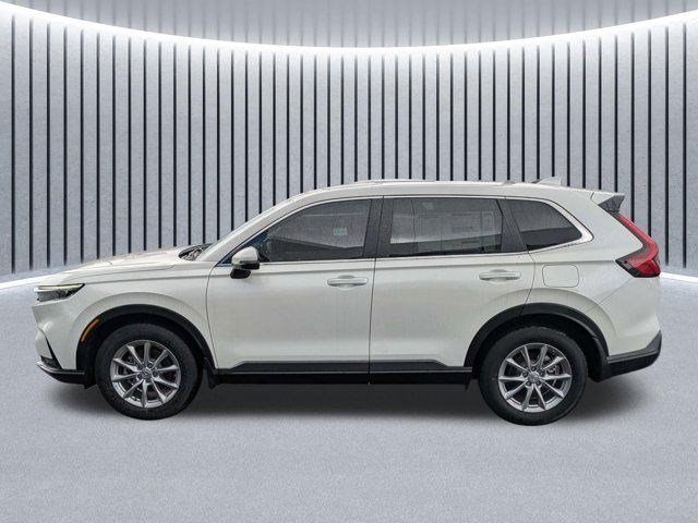 Used 2026 Platinum White Pearl Honda EX image 13