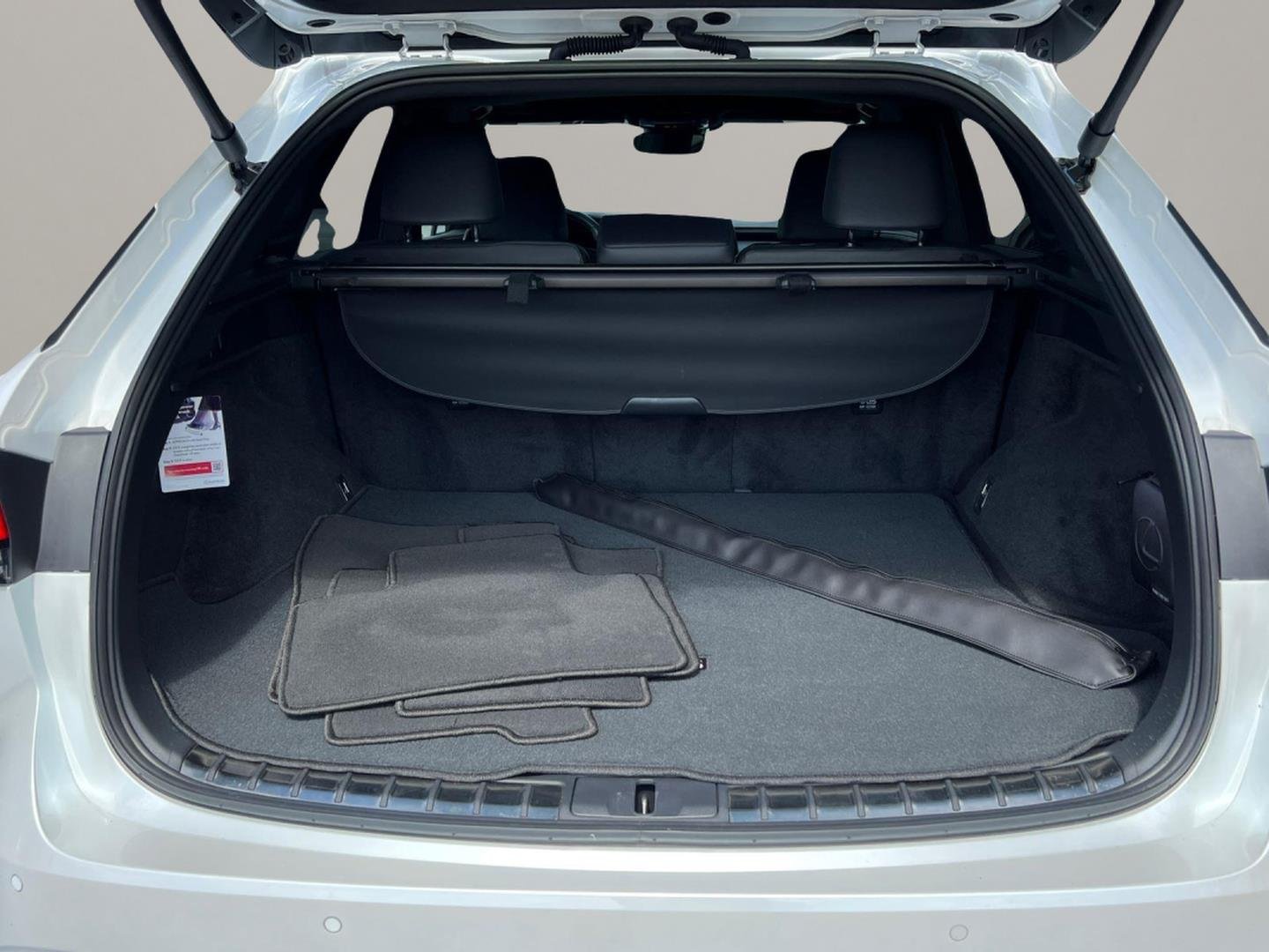 2024 Lexus RX 350 - Photo 19