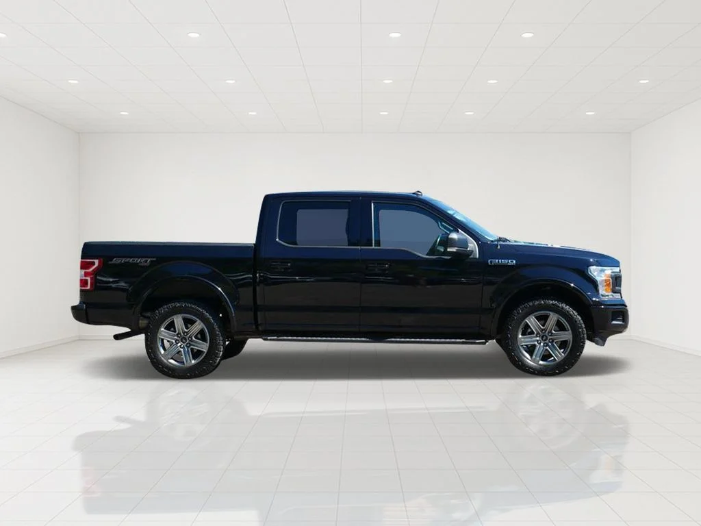 Certified 2019 Ford F-150 XLT with VIN 1FTEW1EPXKFA61971 for sale in White Bear Lake, Minnesota