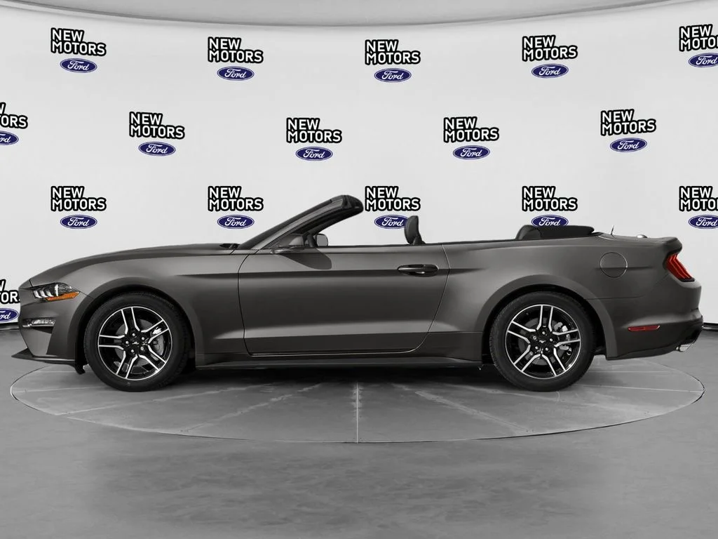 Used 2019 Magnetic Ford EcoBoost Premium image 3