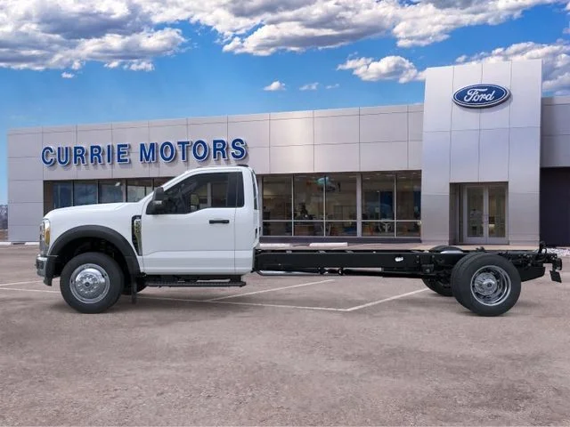 New 2026 Oxford White Ford XL image 3