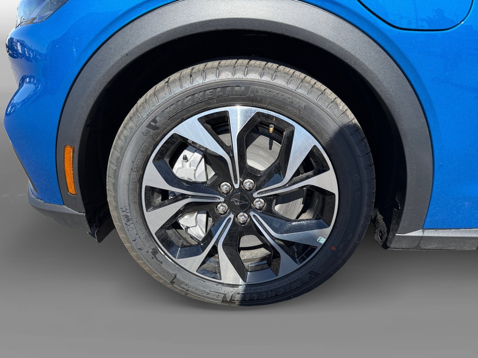 New 2026 Velocity Blue Metallic Ford Select image 9