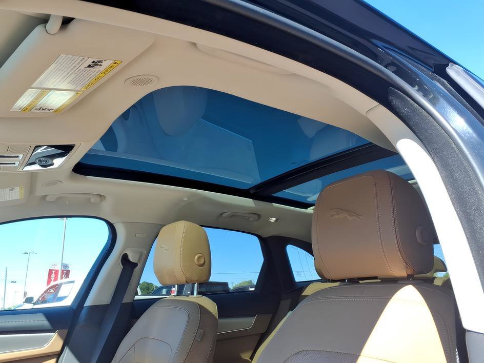 Used 2022 Santorini Black Jaguar S image 15