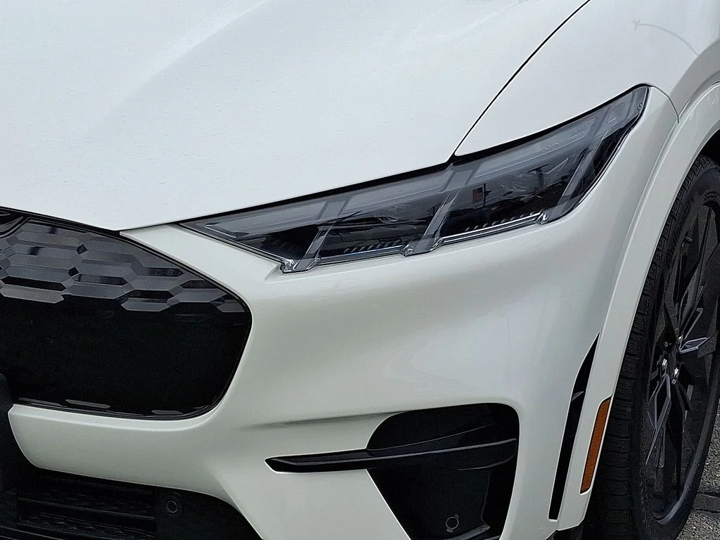 2025 Ford Mustang Mach-E GT - Photo 9