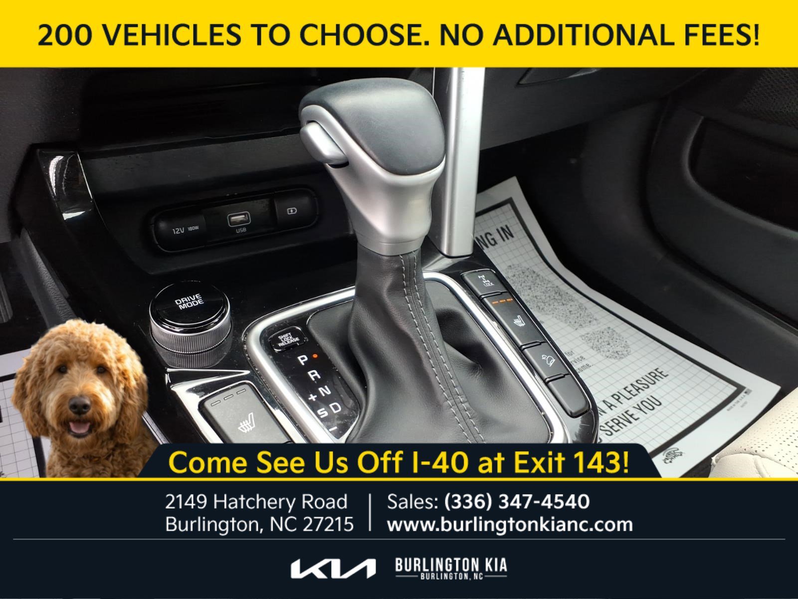 Used 2023 Neptune Blue Kia SX image 8