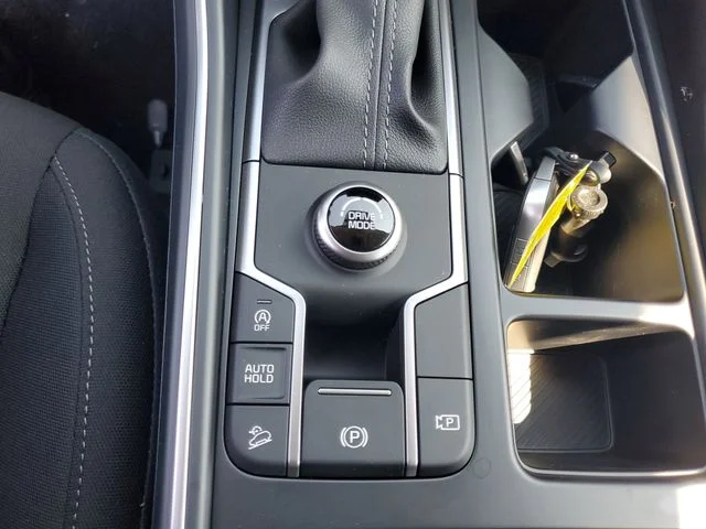 New 2026 Panthera Metal Kia LX image 20