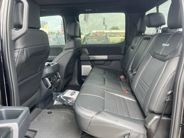 New 2026 Agate Black Metallic Ford Platinum image 13