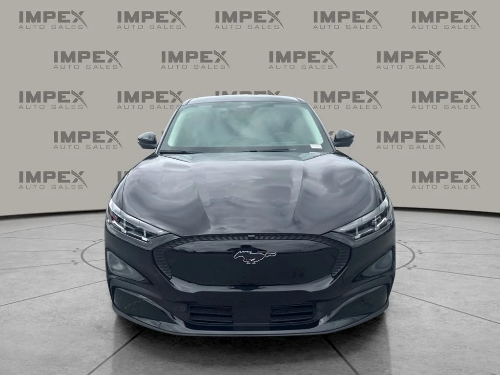 Used 2025 Black Ford Select image 5