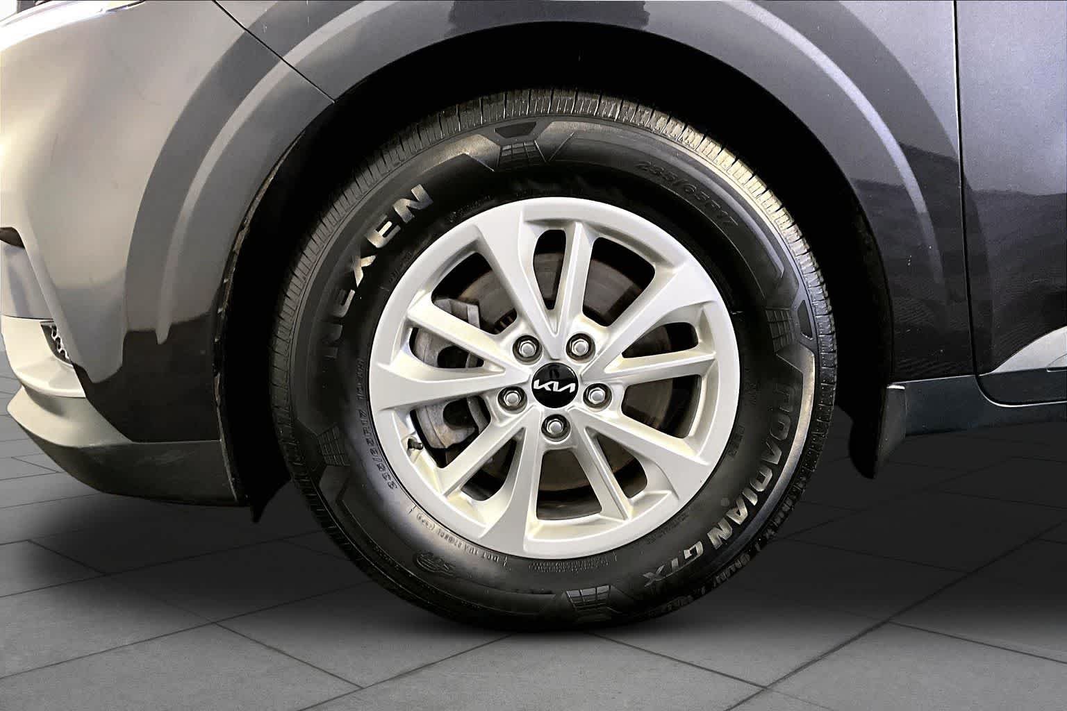 Used 2023 Panthera Metal Kia LX image 11