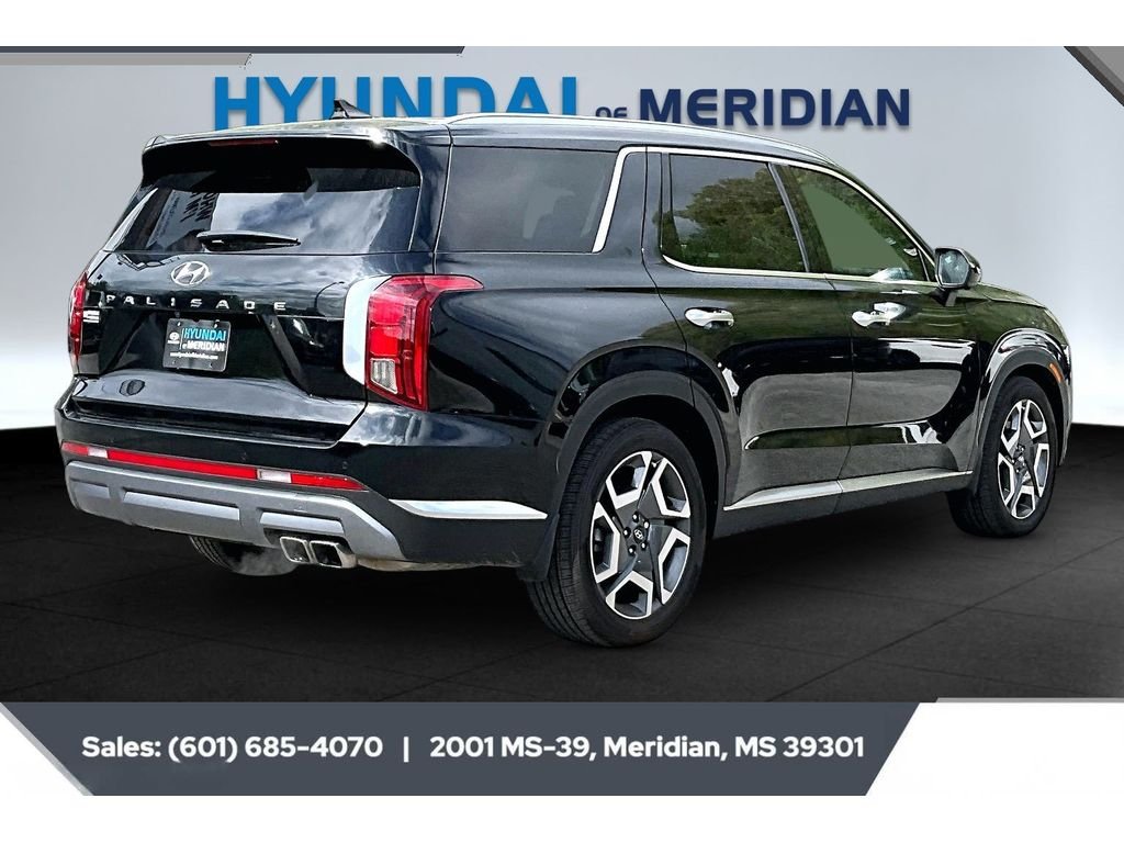 2024 Hyundai Palisade Limited - Photo 10