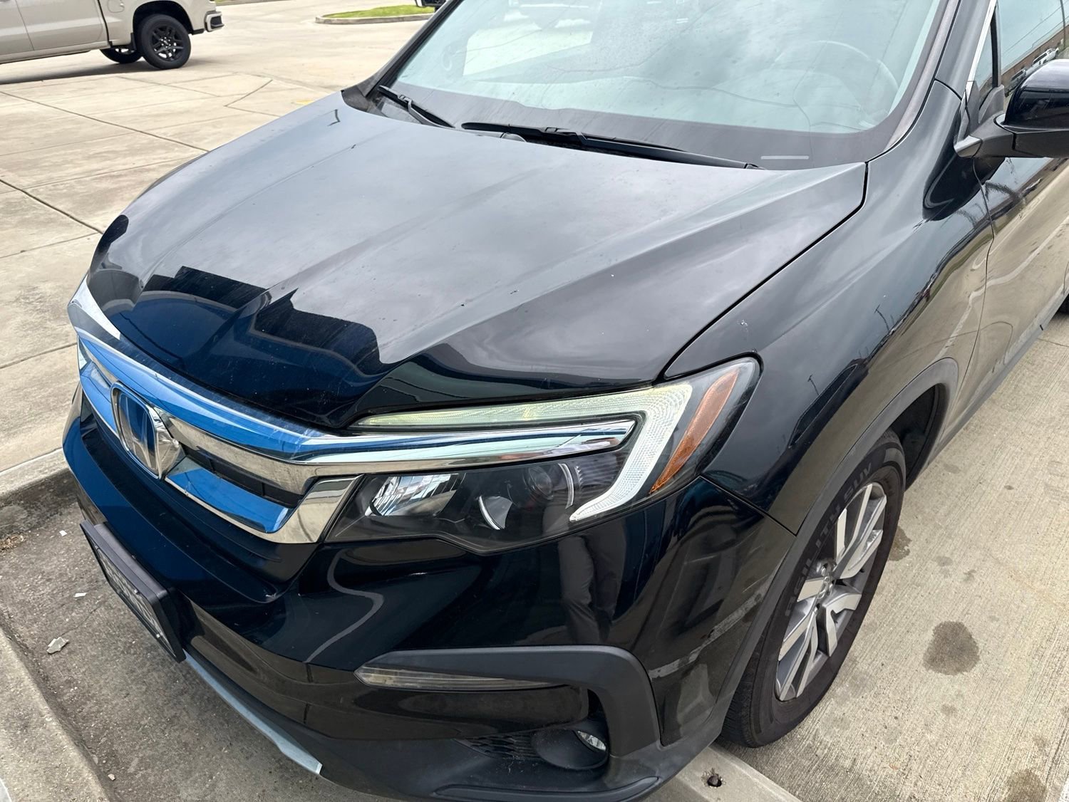2021 Honda Pilot EX-L 2WD's photo