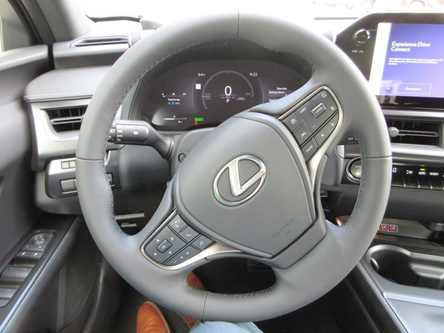 New 2026 Iridium Lexus 300h Premium image 38