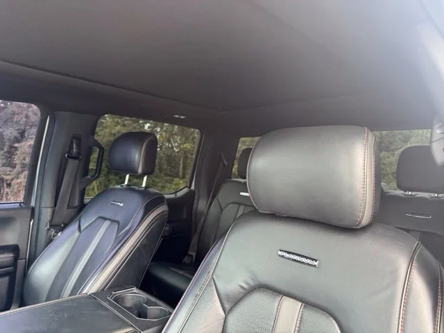 Used 2020 Silver Ford Platinum image 18